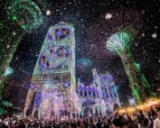 Garden Rhapsody & Blizzard Time